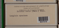 Image Associated With the Occurence